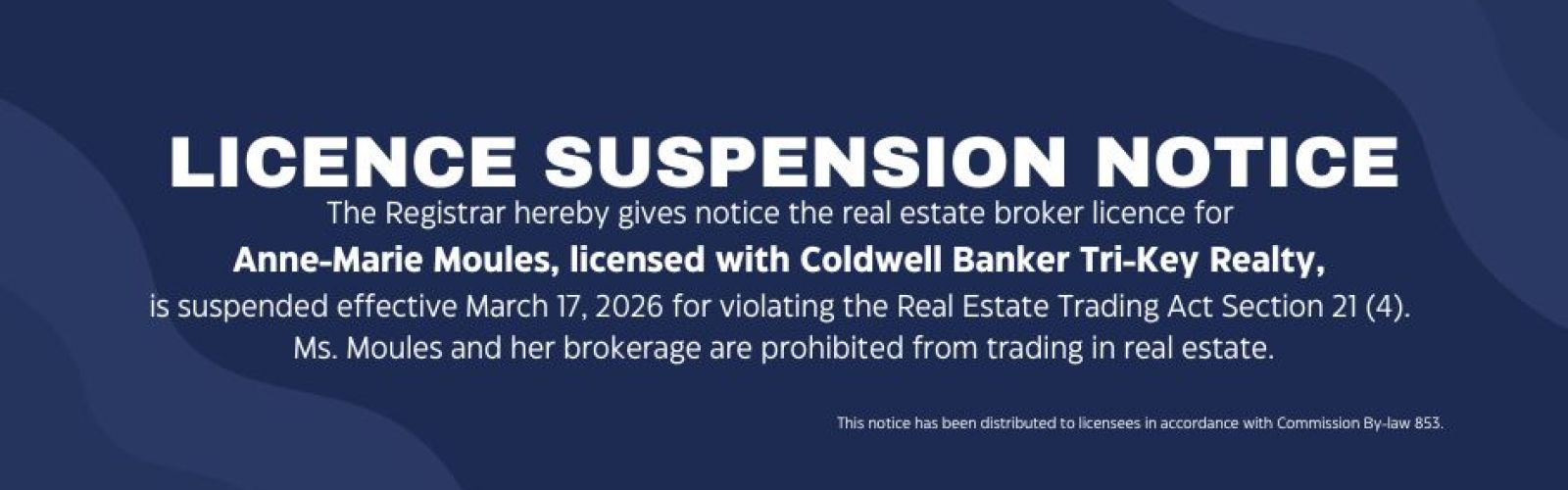 Anne Marie Moules Suspension Banner